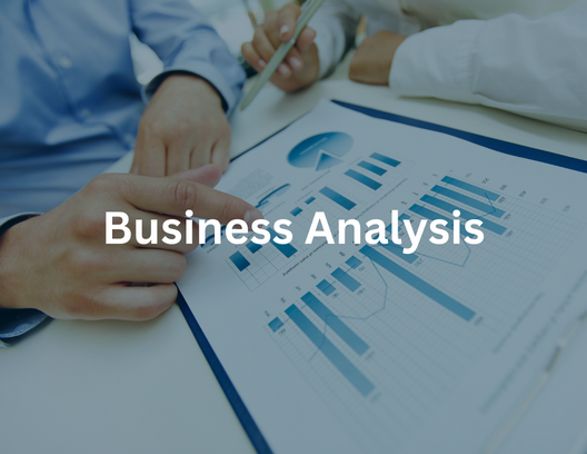 Business Analysis-1